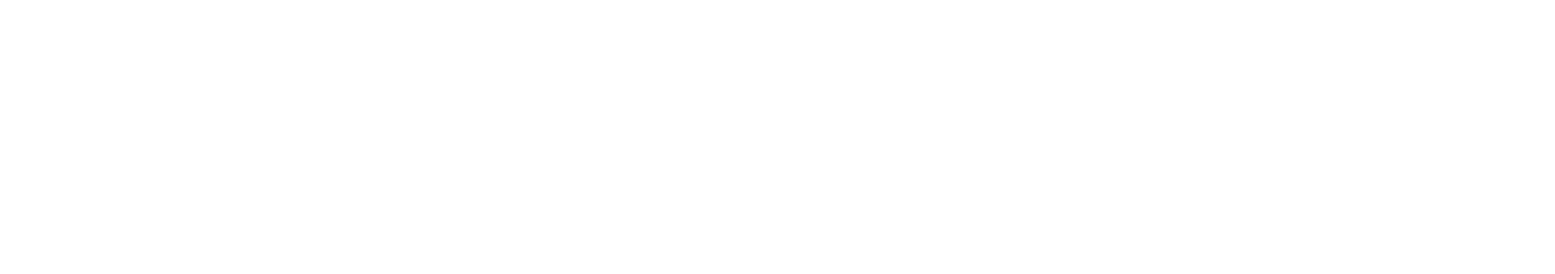 WEDOS Group
